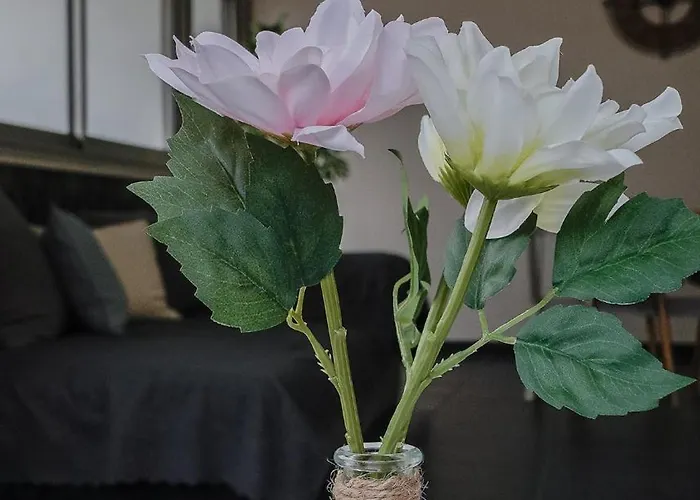 Apartamento Theplacetob Coeur Mulhouse